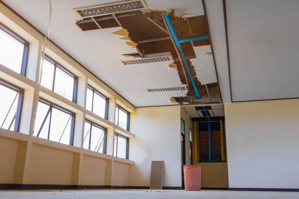Best Basement water damage restoration  in Ridgecrest, FL