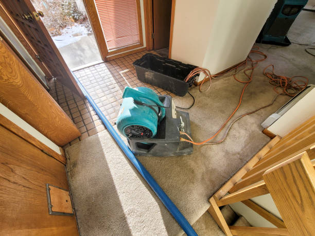 Best Water damage cleanup near me  in Ridgecrest, FL