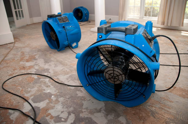 Best Professional water damage repair  in Ridgecrest, FL