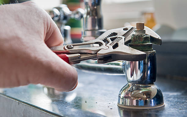 Best Mold removal after water damage  in Ridgecrest, FL