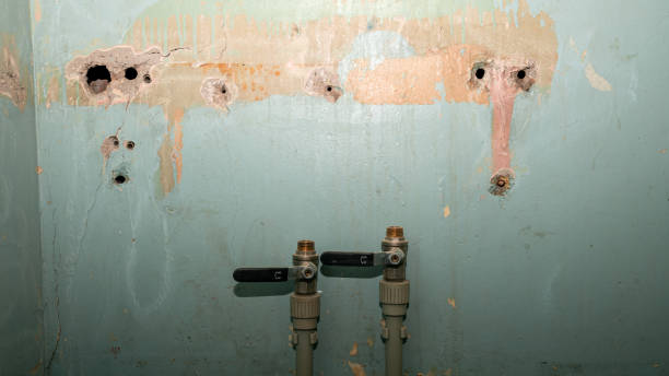 Best Flood damage cleanup  in Ridgecrest, FL