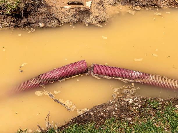 Best Basement water damage restoration  in Ridgecrest, FL